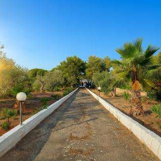 Villa nel Salento con piscina e ulivi - 0