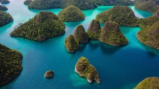 Kamar Raja Bungalow - 8