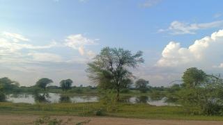 Jawai farmhouse - Nāna - 5