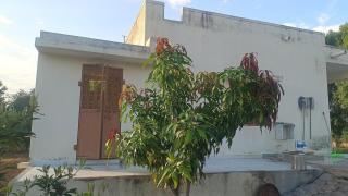 Jawai farmhouse - 3