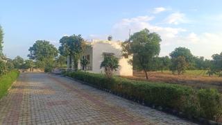 Jawai farmhouse - 1