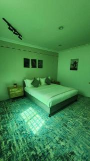 #9 Furnished Daily Rental Apartment Al-Aqeeqh - 4