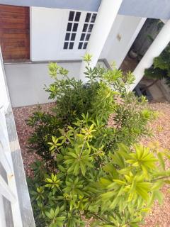 Naadee Villa - 8