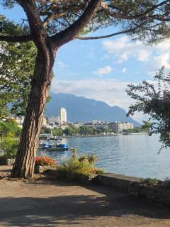 Petit studio centre ville - 2