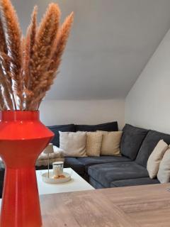 Gîte 4 personnes avec vue proche de Durbuy - La Roche en Ardennes - Han sur Lesse - Terrasses - Parking gratuit - Grand jardin - 0