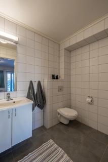 Large Ski in-Ski out Apartment for Groups - 2