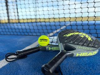 Exceptionnelle Ferme Périgourdine avec Terrain de Paddle et Piscine - 6