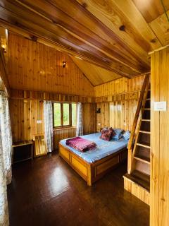 Walk in Himalayas - 5