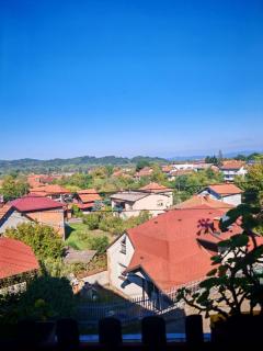 Vila Aleksandar - Dar Lux - 9