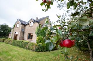 Drumbo Lodge Cavan - 9