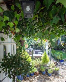 Thai inspired Garden House Short Beach Stroll in the Heart of Whitstable - 8