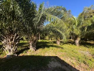 Rancho KurtMel - 3