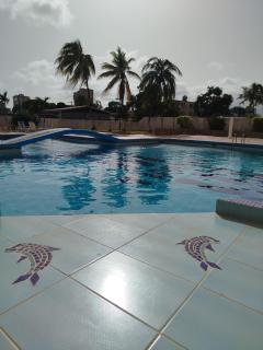Enjoy a 2 bedroom 2 bathroom apartment in Bella Vista - 0