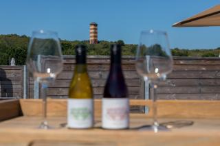 Duinhof Klein Dishoek - Appartementen onder aan de duinen, in het centrum met terras - 3