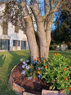 BotanicaSuiteTorino - 4