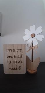 Bilstein RE04 - Sögel - 5