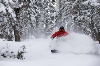 Copperbottom Inn 103 condo - 2