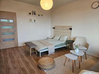 Modern apartment with balcony and free parking - 8