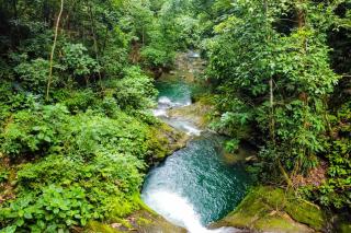 Pools Bungalow at Toucan - 6