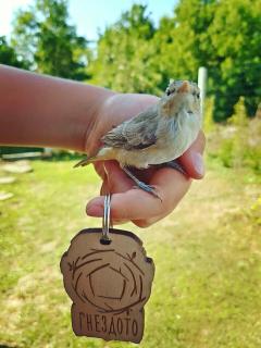 Бунгала Гнездото Bungalows The Nest - 0