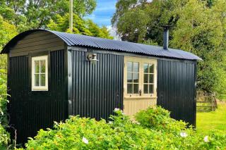 Cosy romantic shepherd hut in open countryside - 8