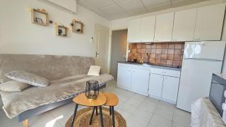 Appartement climatisé proche du Marina et plage - 5