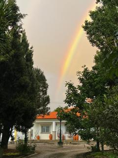 Vagos Guest House - 6