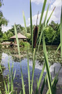 Serce Lasu - Hotel z Duszą i Energią Kamieni - 7