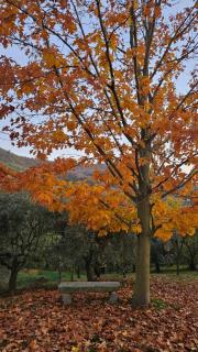 B&B Villa Euganea - 2