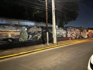 Casita Azul II - 3