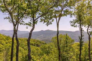 Sanctuary at Eagles Nest - 3
