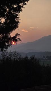 B&B Villa Euganea - 3