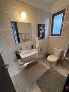 Elegant Escape in Nicosia - 1