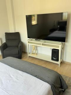 Elegant Escape in Nicosia - 4