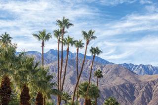 WorldMark Palm Springs - 5