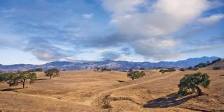 WorldMark Solvang - 9
