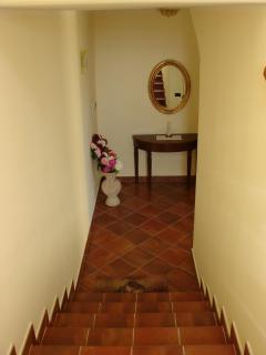 Azienda Agricola Carbone Cosimo - 8