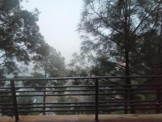 Kasauli CrestSpring - 6
