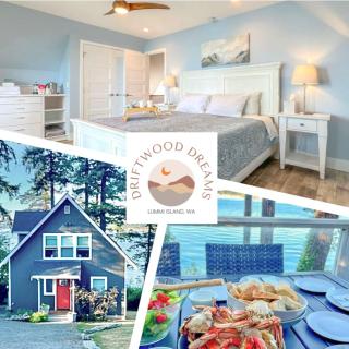 Driftwood Dreams - 0