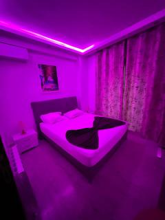 Oasis in La Marsa - 5