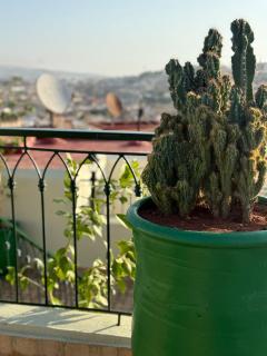 Riad Citronnier & Spa - 3