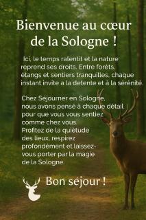 Appartement 3 chambres à la Ferté Saint Cyr - 1