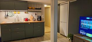 Solnes Apartment - 4