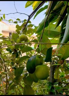 ChiGhaya Guest House - 3