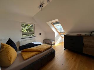 Traum Berg - Koppelberg - Traben-Trarbach - 1