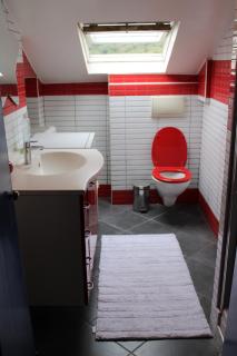 maison avec jardin et terrasse - 8