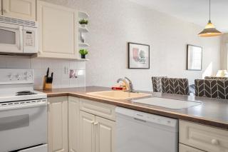 The Pinnacle in Fairmont 1BR Condo Near Hot Springs - 3