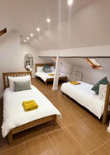 Welsh Getaway Studio Loft - 4