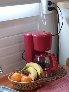 Sueño Dorado Container - 1