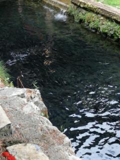 Divčinova1 Reset A2 - Divčibare - 9